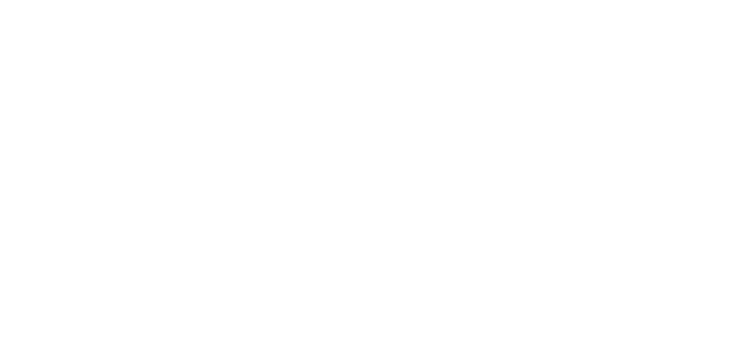 Ninja Logo